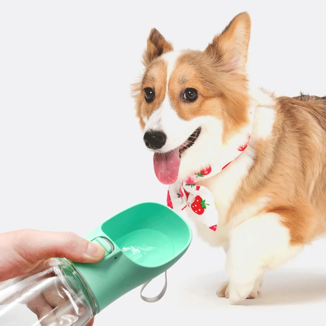 Pawdrip,Portable Dog Water Bottle